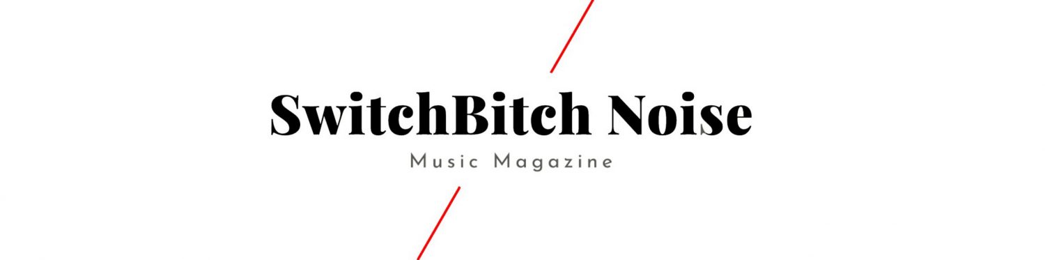 SwitchBitch Noise