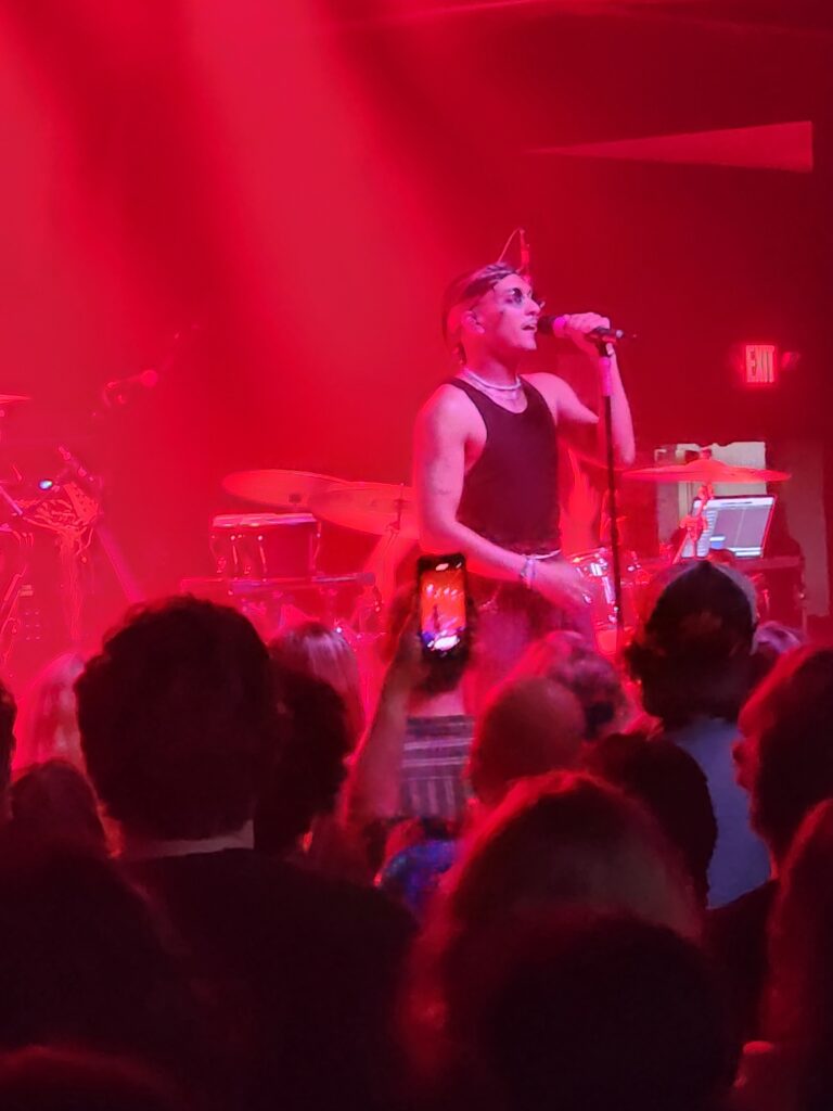 Live Show Honey Revenge