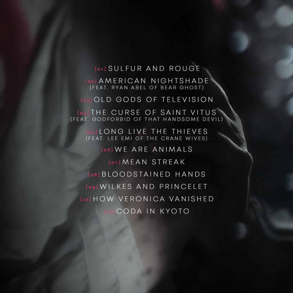 The back cover of Sarah and the Safe Word's newest album, The Disappearing Girl.